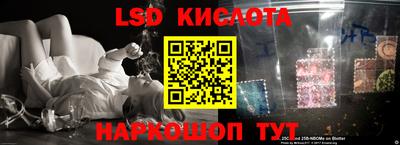 индика Кимры