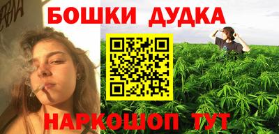 прущие грибы Кингисепп
