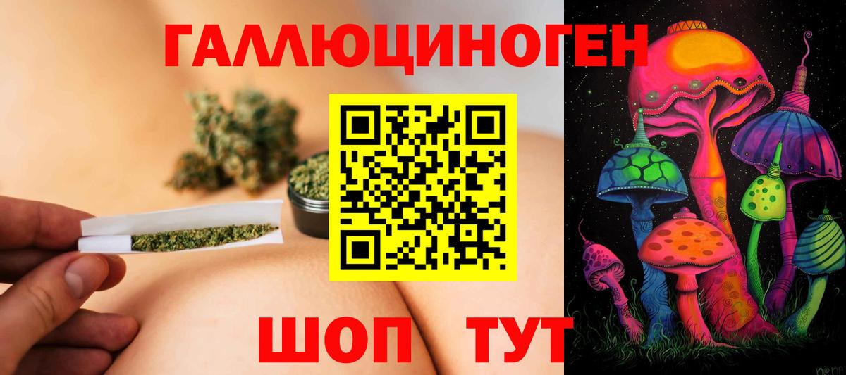 Тосно  Псилоцибиновые грибы Psilocybine cubensis  Вход с VPN 